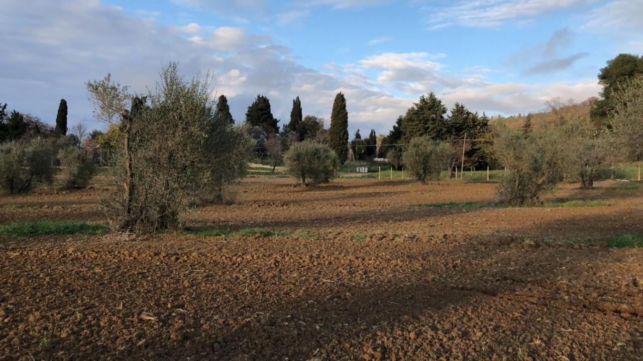 Agriturismo Il Broletto 수베레토 외부 사진